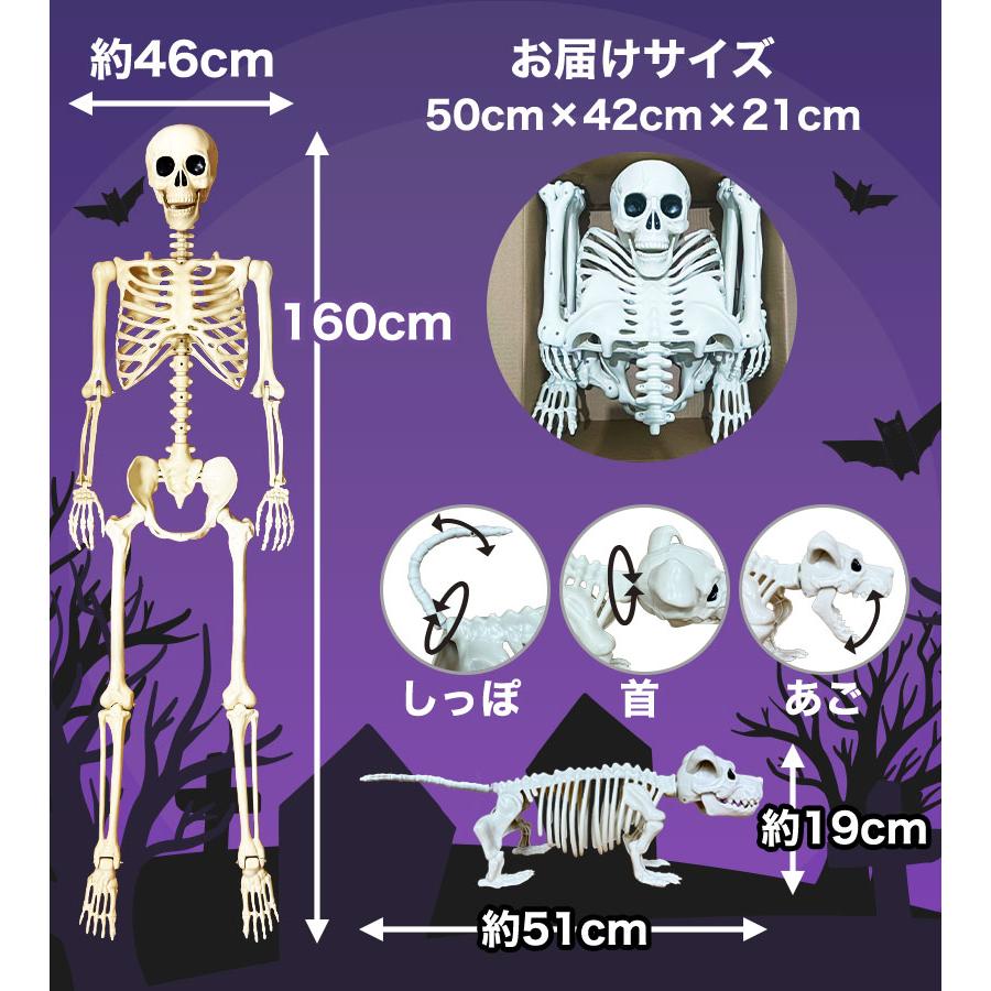 ハロウィン 骸骨 飾り 犬の骸骨 付き セット 動く 置物 プラクチック製