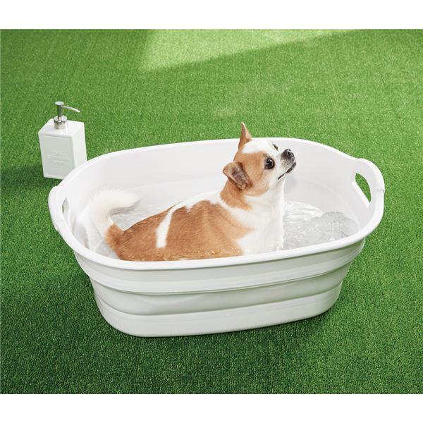 （まとめ）ソフトタブワイド ホワイト（ペット用品）〔×8セット〕