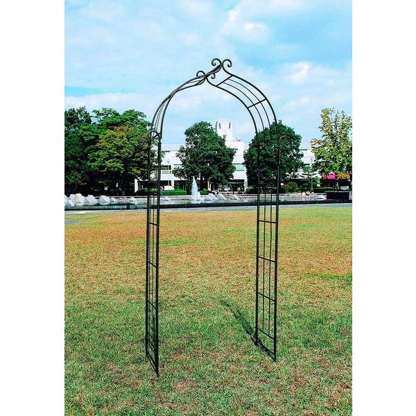 【直送品】ジャービス商事 ガーデンアーチD型 | ガーデニング おしゃれ オシャレ 園芸 庭 つる ローズアーチ 花壇 庭園 園芸 | 