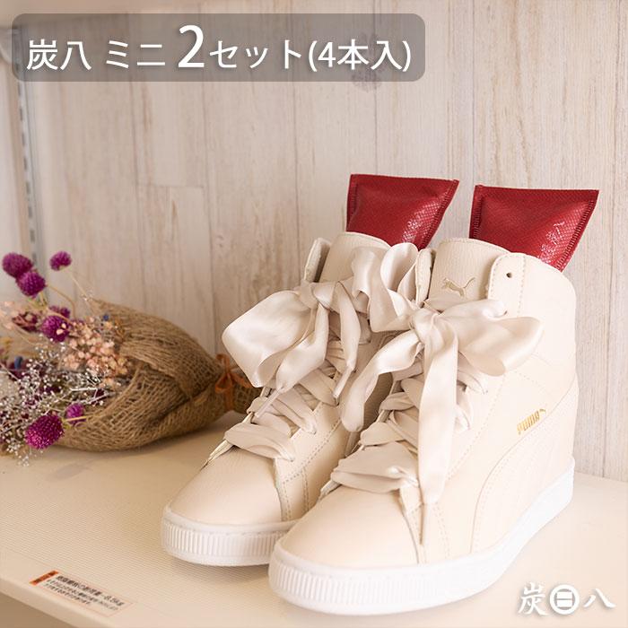 出雲カーボン 出雲屋 炭八 ミニ 2セット 4本入 | 除湿 結露 湿気 梅雨 調湿 カビ対策 半永久 消臭 繰り返し使える | 