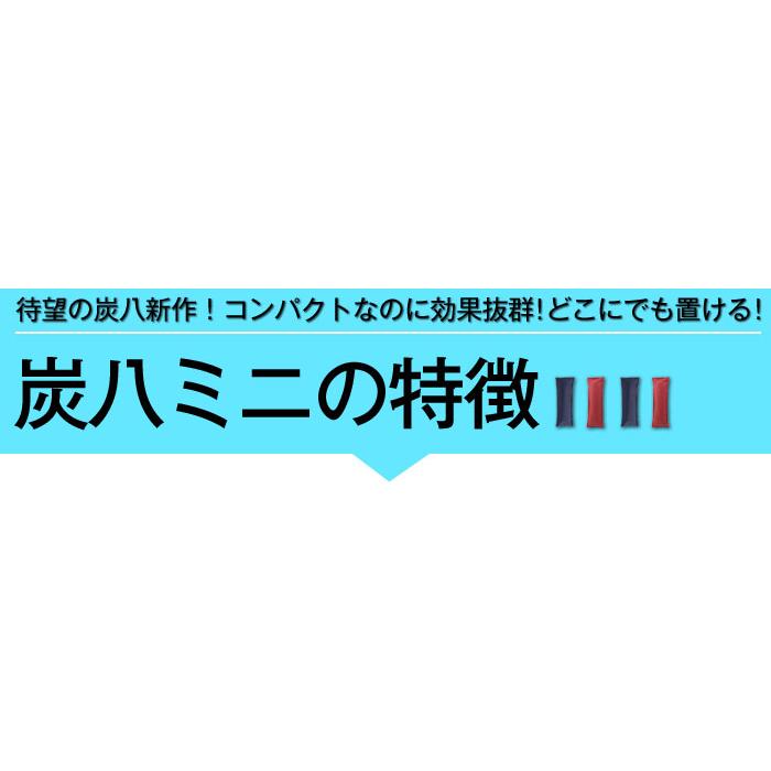 出雲カーボン 出雲屋 炭八 ミニ 2セット 4本入 | 除湿 結露 湿気 梅雨 調湿 カビ対策 半永久 消臭 繰り返し使える |  | 11