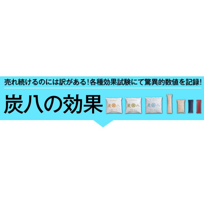 出雲カーボン 出雲屋 炭八 ミニ 1セット 2本入 | 除湿 結露 湿気 梅雨 調湿 カビ対策 半永久 消臭 繰り返し使える |  | 05