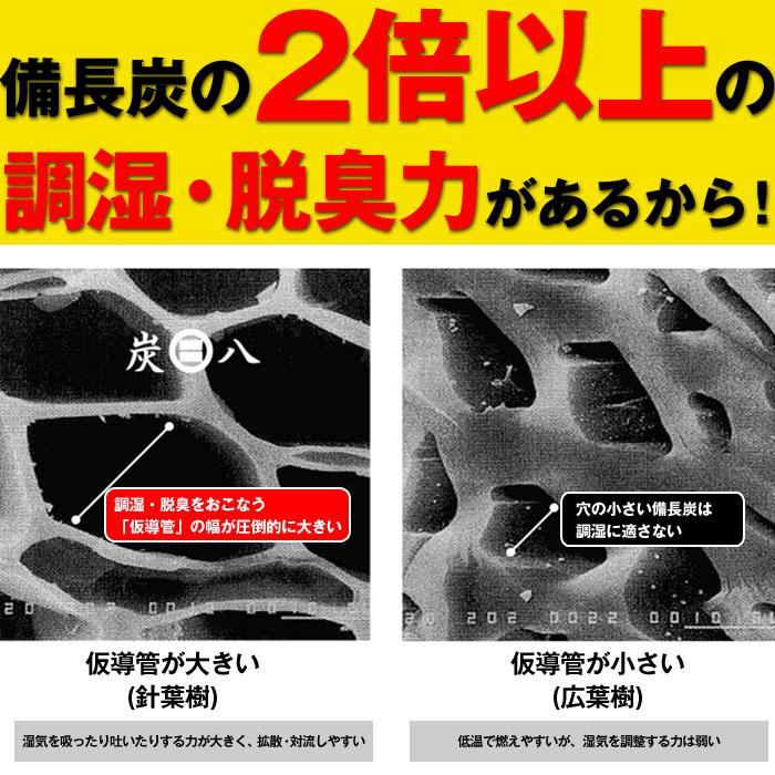 出雲カーボン 出雲屋 炭八 ミニ 1セット 2本入 | 除湿 結露 湿気 梅雨 調湿 カビ対策 半永久 消臭 繰り返し使える |  | 08