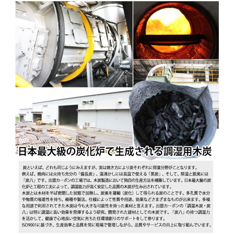 出雲カーボン 出雲屋 炭八 ミニ 1セット 2本入 | 除湿 結露 湿気 梅雨 調湿 カビ対策 半永久 消臭 繰り返し使える |  | 09