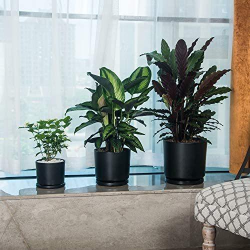 Ekirlin 植木鉢 陶器鉢 受け皿付き 大型 9号 おしゃれ 穴付き 鉢 プランター 鉢植え インテリア 部屋 飾り 観葉植物 黒 24cm B08f7b18t5 セレクト発送 通販 Yahoo ショッピング