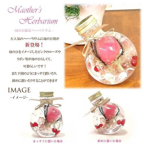 【並行輸入品】【母の日限定】 母の日 ハーバリウム Herbarium  ピンク ローズ バラ ラウンド プリザーブド ドライ フラワー ボトル 2020M |  | 01