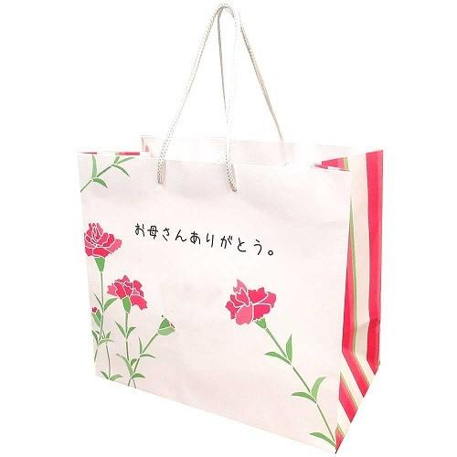 セレクトAG オリジナル “おかあさんありがとう” メッセージ入り 母の日 ショッパー 当店オリジナル 母の日 8330318 大 | 