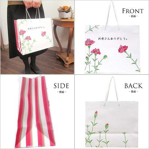 セレクトAG オリジナル “おかあさんありがとう” メッセージ入り 母の日 ショッパー 当店オリジナル 母の日 8330318 大 |  | 01