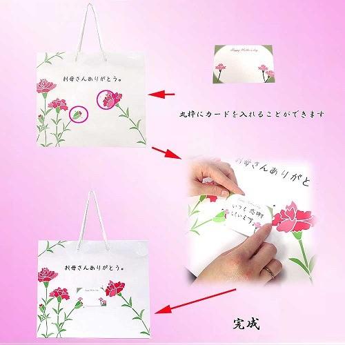 セレクトAG オリジナル “おかあさんありがとう” メッセージ入り 母の日 ショッパー 当店オリジナル 母の日 8330318 大 |  | 03