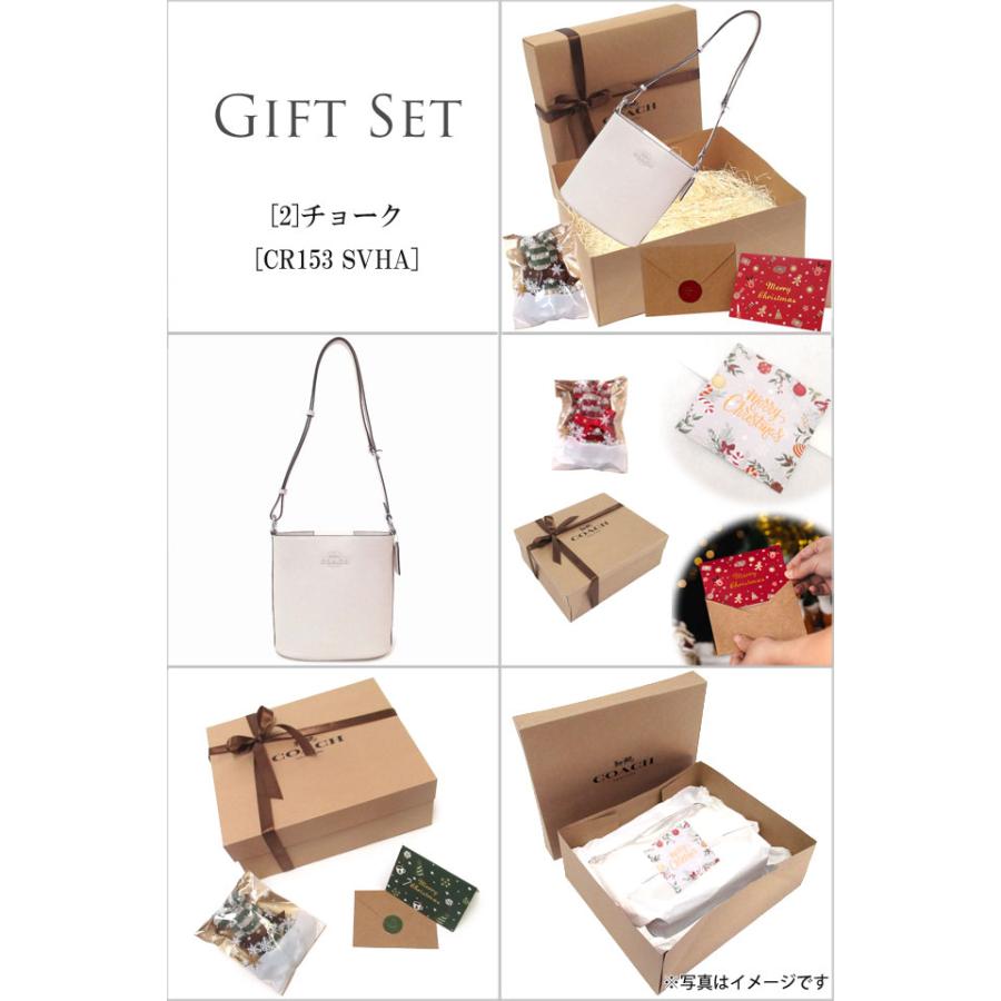 新品 COACH コーチ ボストンバッグ ショルダー付 クリスマス COACH コーチ ボストンバッグ ローアンサッチェル キャット ネコ 猫