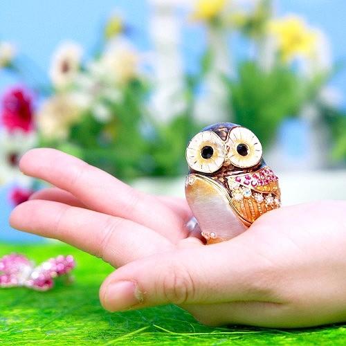 【ジュエリーボックス】 フクロウ 梟 ブラウン ジュエリーボックス  EX2922 n90801 |  | 03