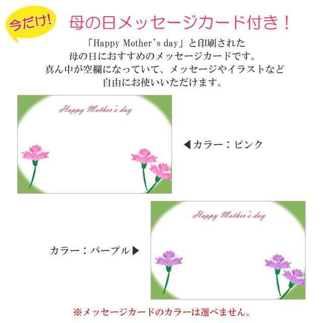 feiler（フェイラー） 【並行輸入品】母の日 ハンカチ 25cm 福袋