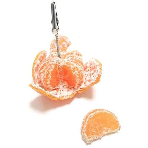 アトリエステラ 食品サンプル オレンジ みかん メモスタンド K1 | 