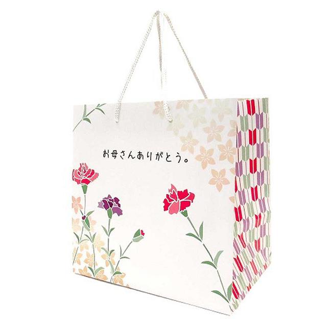 【並行輸入品】母の日 ギフトセット コーチ カサ COACH アウトレット 傘 晴雨兼用 99%UVカット折り畳み傘 | COACH | 12