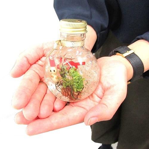 【クリスマス限定】 クリスマス ハーバリウム Herbarium  スノーマン 雪だるま 松ぼっくり リース ラウンド プリザーブド ドライ フラワー ボトル MOTO-c19 |  | 03