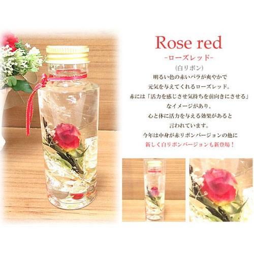 【選べる6タイプ】ハーバリウム Herbarium スリム ラウンド プリザーブド ドライ フラワー ボトル |  | 01