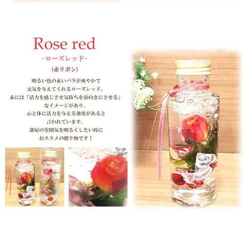 【選べる6タイプ】ハーバリウム Herbarium スリム ラウンド プリザーブド ドライ フラワー ボトル |  | 02