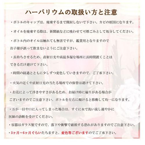 【選べる6タイプ】ハーバリウム Herbarium スリム ラウンド プリザーブド ドライ フラワー ボトル |  | 07