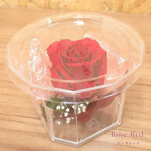 【選べる5タイプ】母の日 ギフト プリザーブド フラワー ローズ カーネーション  クリアケース入り  MT2018 PF |  | 04