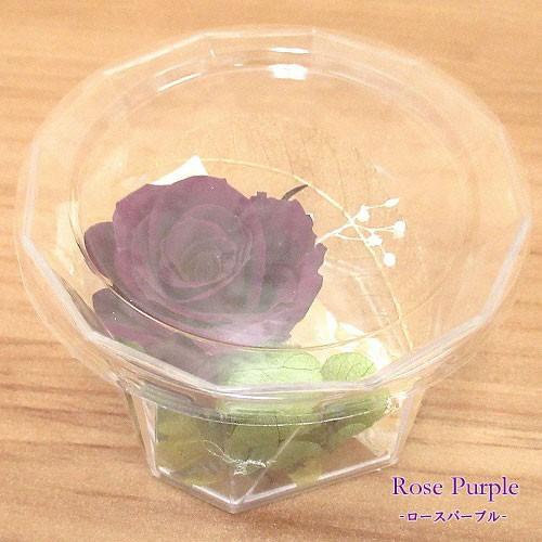 【選べる5タイプ】母の日 ギフト プリザーブド フラワー ローズ カーネーション  クリアケース入り  MT2018 PF |  | 05