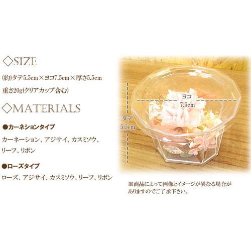 【選べる5タイプ】母の日 ギフト プリザーブド フラワー ローズ カーネーション  クリアケース入り  MT2018 PF |  | 06
