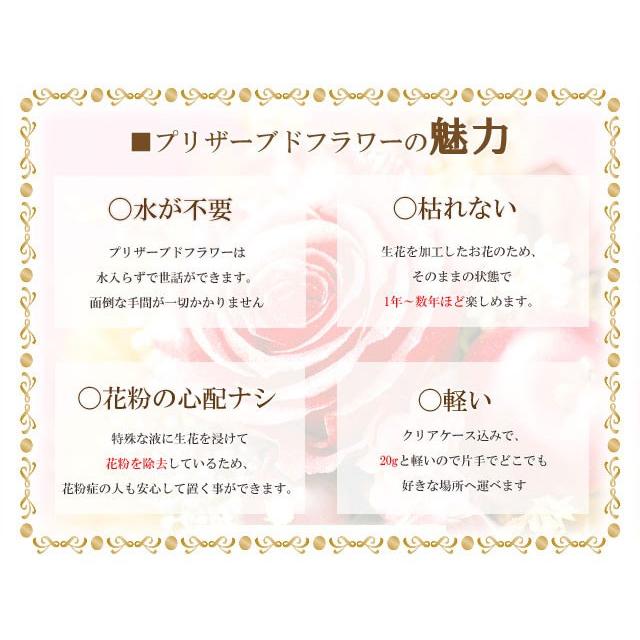 【選べる5タイプ】母の日 ギフト プリザーブド フラワー ローズ カーネーション  クリアケース入り  MT2018 PF |  | 07