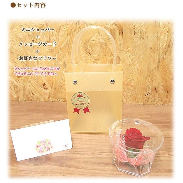【選べる5タイプ】母の日 ギフト プリザーブド フラワー ローズ カーネーション  クリアケース入り  MT2018 PF |  | 08