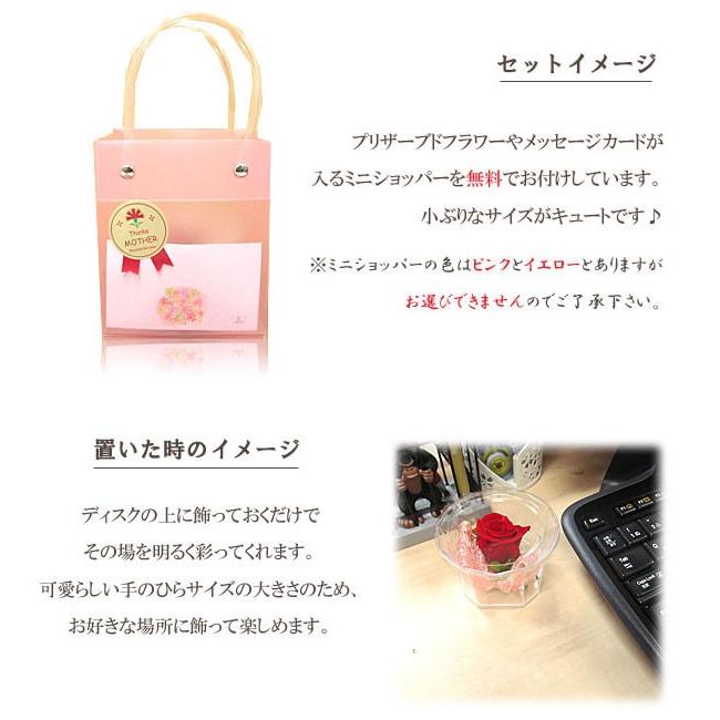 【選べる5タイプ】母の日 ギフト プリザーブド フラワー ローズ カーネーション  クリアケース入り  MT2018 PF |  | 09