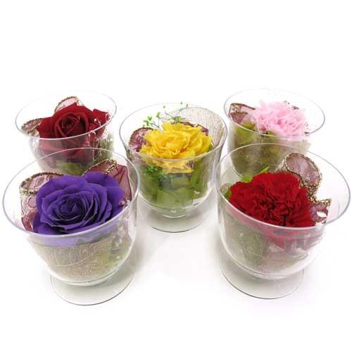 母の日 ギフト ブリザーブドフラワー ミニカップ入り  カーネーション／バラ  PALACE | 