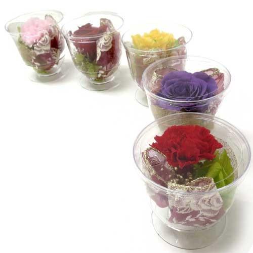 母の日 ギフト ブリザーブドフラワー ミニカップ入り  カーネーション／バラ  PALACE |  | 02