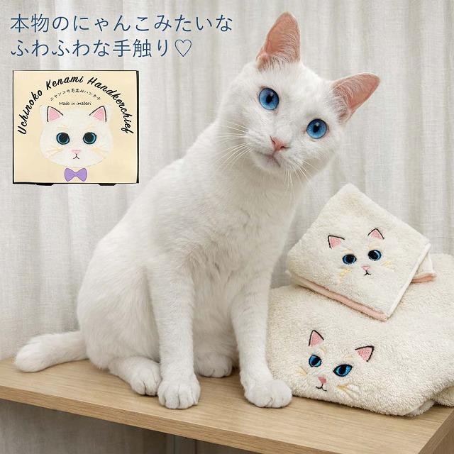 今治タオル（imabari towel） Uchinoko mate ハンカチ UCHINOKO うちの