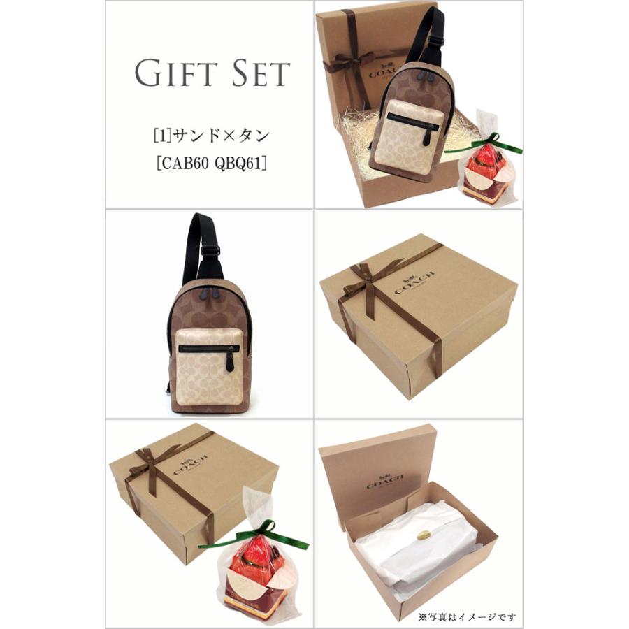 【並行輸入品】バレンタイン ギフトセット　コーチ バッグ メンズ COACH アウトレット ブロックド シグネチャー ウエストパック ショルダー ボディバッグ CAB60 | COACH | 02