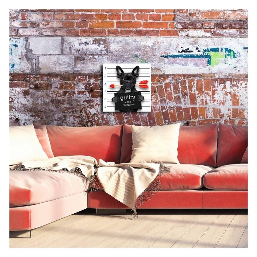 アート マグショット 強化ガラス ガラスアート フレンチブルドッグ Guilty of Love Frenchie 16×16 HiDef Art Glassの画像