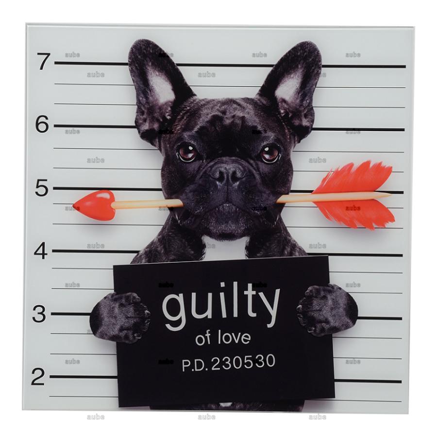 アート マグショット 強化ガラス ガラスアート フレンチブルドッグ Guilty of Love Frenchie 16×16 HiDef Art Glassの画像