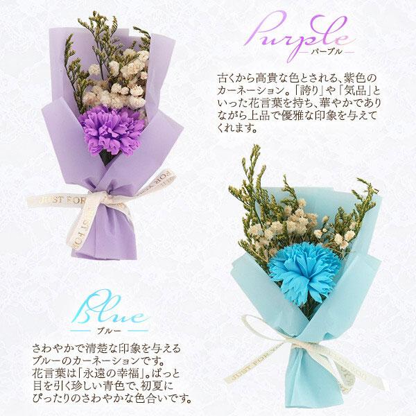 ソープフラワー ソープフラワーギフト カーネーションブーケ プレゼント 花束 ギフト 成人祝い 花 誕生日 記念日 女性 母親 妻 彼女 結婚記念日 |  | 06