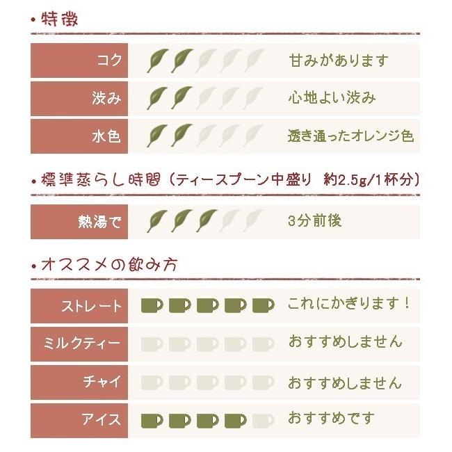 ダージリン 2022年 ファーストフラッシュ タルザム茶園 500ｇ DJ-01 FTGFOP1 (CL)_1