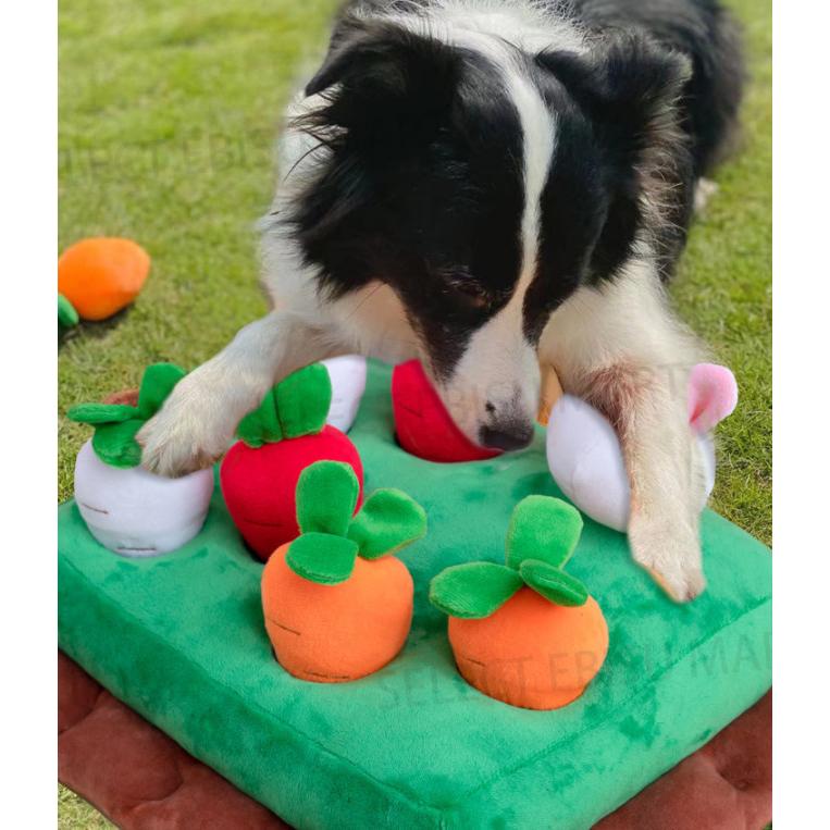 犬 おもちゃ にんじん畑 ノーズワーク イチゴ にんじん 犬用 知育玩具 訓練毛布 餌マット 犬嗅ぎパッド 嗅覚訓練 運動不足 ストレス解消 ペットおもちゃ Jxe255 Select Ebisu Mart 通販 Yahoo ショッピング