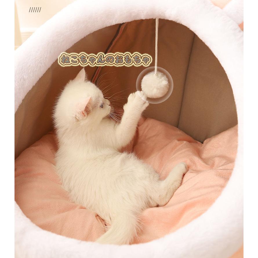 ペットハウス 猫ハウス ペットベッド ペット用クッション 猫犬兼用 可愛い ペットグッズ ペット用品 うさぎ 恐竜 おもしろグッズ Jxe371 Select Ebisu Mart 通販 との互換性イースターハット 猫と小型犬用バニーイヤーハット ペット製品 Ciudaddelmaizslp Gob Mx