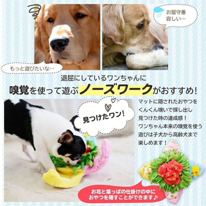 ペット 犬 おもちゃ ノーズワークマット ノーズワーク 知育玩具 嗅覚 動く 転がる 音が出るおもちゃ 嗅覚訓練マット 分離不安 運動不足 ストレス解消 Jxe487 Select Ebisu Mart 通販 Yahoo ショッピング