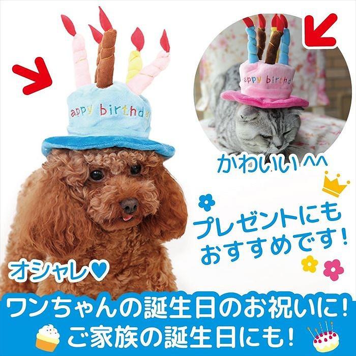 犬 ハット 帽子 ペット用 キャップ 可愛い グッズ 犬用 猫用 コスプレ お誕生日 かぶりもの おしゃれ 小型犬 かわいい 中型犬 誕生日 バースデー お祝い :jxe574:SELECT EBISU MART - 通販 - Yahoo!ショッピング 犬 ハット 帽子 ペット用 キャップ 可愛い グッズ 犬用 猫用 コスプレ お誕生日 かぶりもの おしゃれ 小型犬 かわいい 中型犬 誕生日 バースデー お祝い :jxe574:SELECT EBISU MART - 通販 - Yahoo!ショッピング