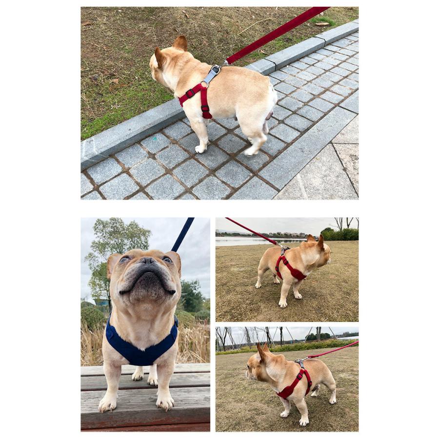 犬 リード ハーネス 小型犬 洗える 柔らかい 犬ハーネス ハーネスリード セット リード 超小型犬 中型犬 犬用 ソフト おしゃれ かわいい 可愛い Jxe615 Select Ebisu Mart 通販 Yahoo ショッピング