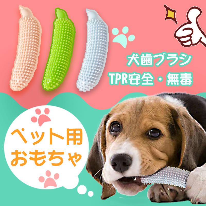 犬 おもちゃ ノーズワーク 知育玩具 犬 噛む 玩具 ペット 犬用おもちゃ 歯ブラシ ペット用品 ストレス解消 餌入れおもちゃ 運動不足 犬おもちゃ Jxe719 Select Ebisu Mart 通販 Yahoo ショッピング
