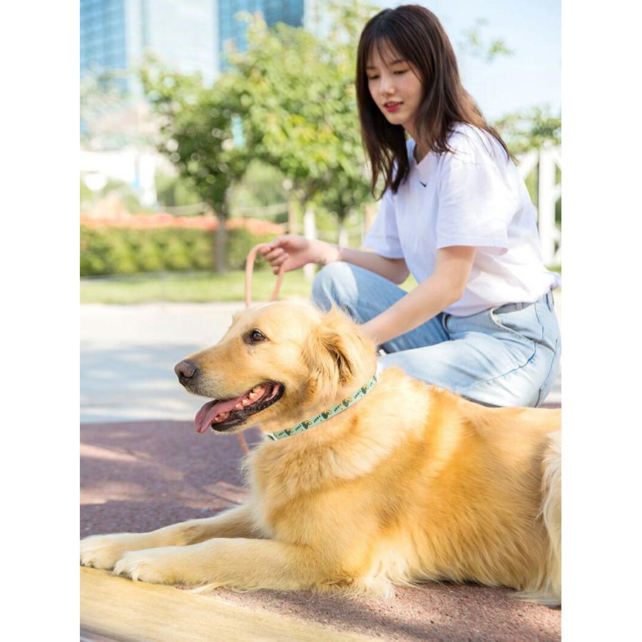 ペット用 蚊よけ ノミ取り首輪 虫除け 首輪 蚊除け対策 天然ハーブ 蚊除け 春 夏 丸洗い可能 犬猫兼用 取り付け簡単 安全的 無毒 可愛い Jxe787 Select Ebisu Mart 通販 Yahoo ショッピング