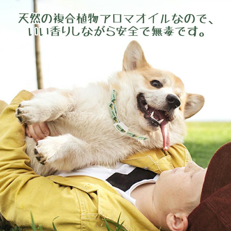 ペット用 蚊よけ ノミ取り首輪 虫除け 首輪 蚊除け対策 天然ハーブ 蚊除け 春 夏 丸洗い可能 犬猫兼用 取り付け簡単 安全的 無毒 可愛い 送料無料 Jxe787 Select Ebisu Mart 通販 Yahoo ショッピング