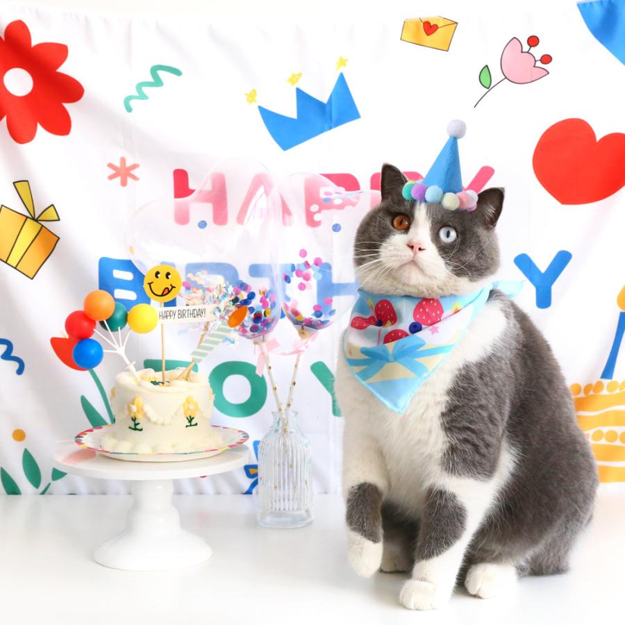 ペット 誕生日 飾り付け 犬 猫 ハッピーバースデー スタイ 帽子 よだれかけ セット Happy Birthday お祝い コスプレ 洋服 可愛い 小型犬 首掛け 犬用品 Jxe2 Select Ebisu Mart 通販 Yahoo ショッピング