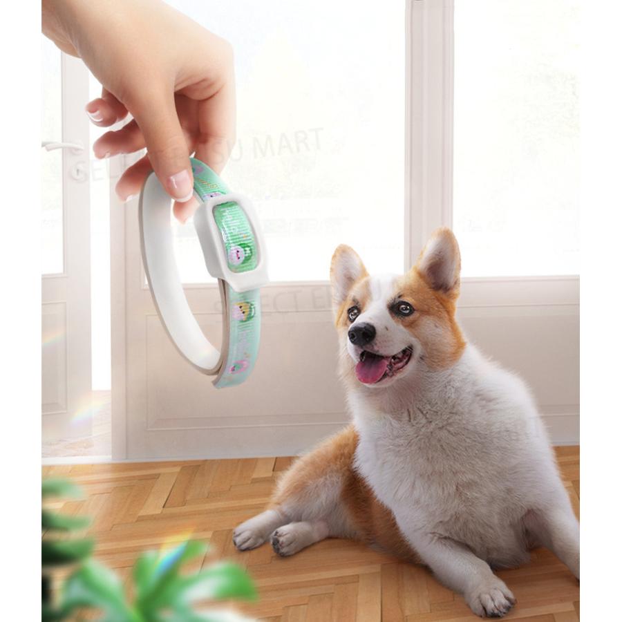希少 ノミ取り首輪 蚊よけ 効果180日 猫用 犬用 ペット ノミ ダニ対策用品 のみ取り 虫よけ 首輪 蚊除け対策 天然ハーブ 蚊除け 春 夏 小型犬 猫用品 Aynaelda Com