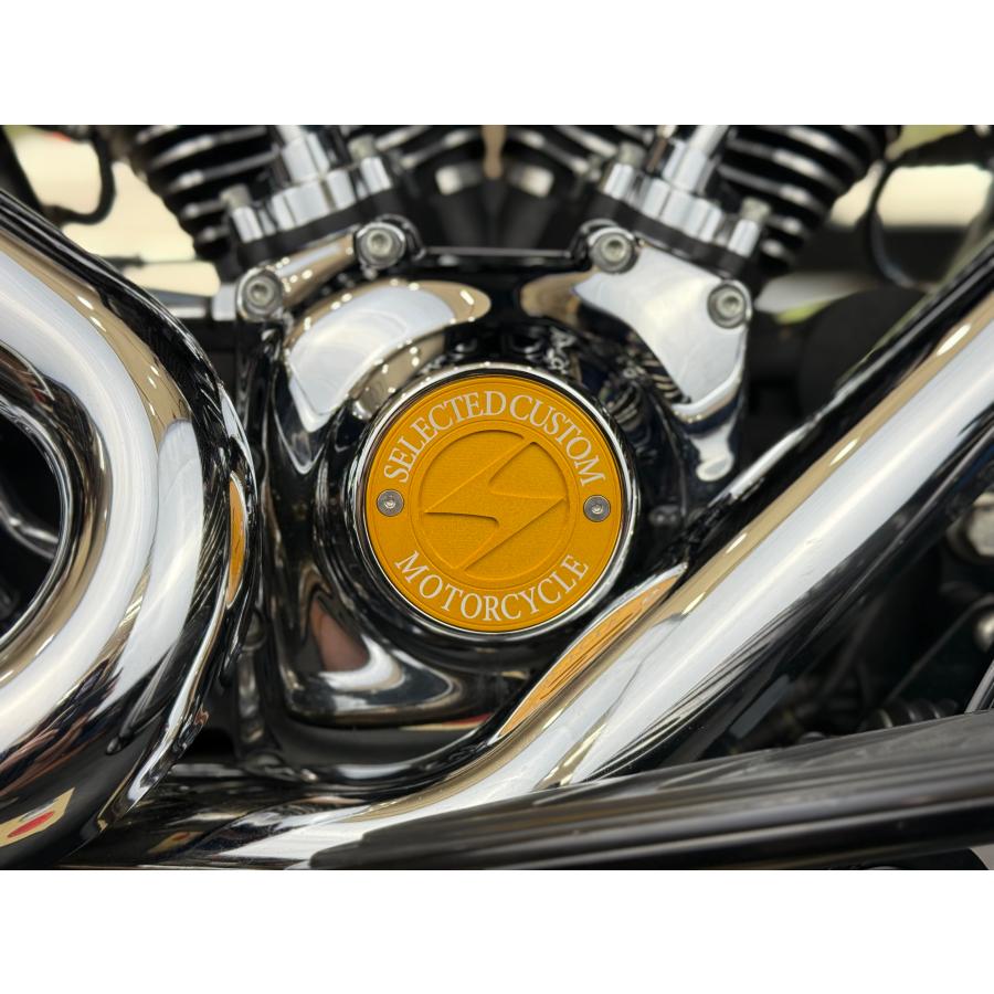 SCMオリジナル　ポイントカバー　TC用　ゴールド |  | 01