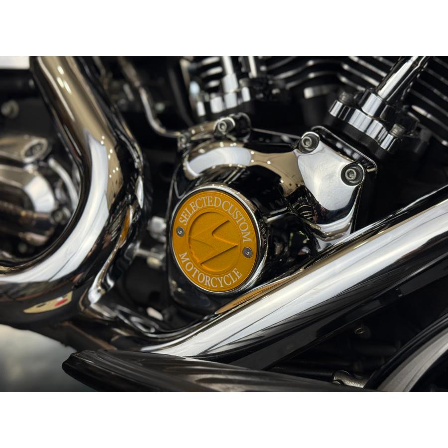 SCMオリジナル　ポイントカバー　TC用　ゴールド |  | 02