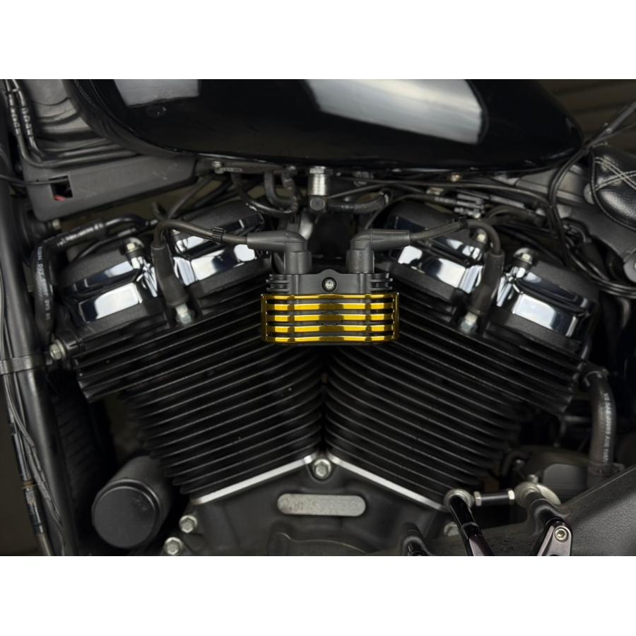 SCMオリジナル　コイルカバー　キャンディーゴールドメッキ　M8ソフテイル用 |  | 02