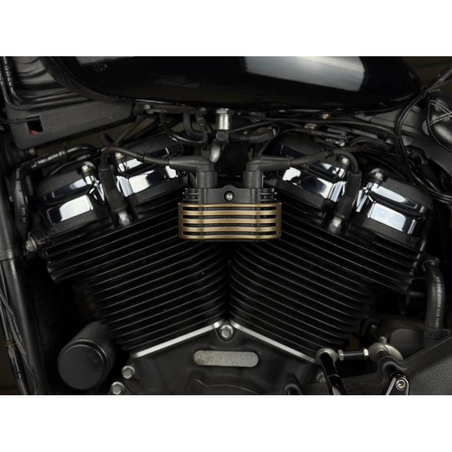 SCMオリジナル　コイルカバー　ブロンズ　M8ソフテイル用 |  | 02